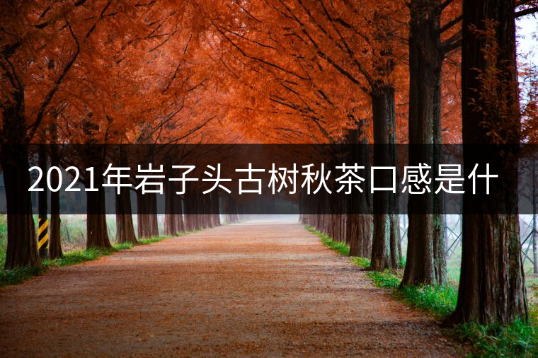 2021年巖子頭古樹秋茶口感是什么？