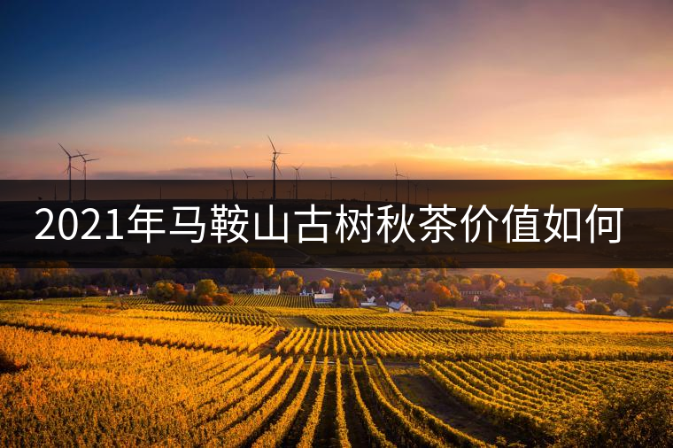 2021年馬鞍山古樹秋茶價(jià)值如何？