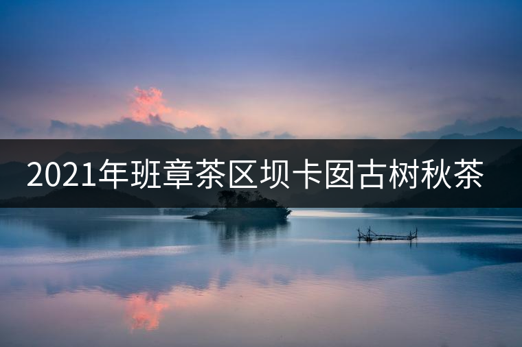 2021年班章茶區(qū)壩卡囡古樹秋茶口感？