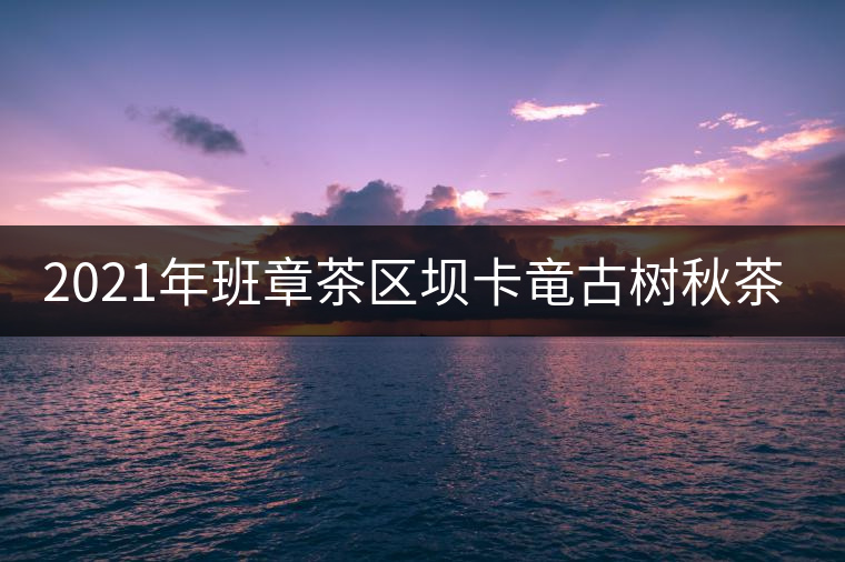 2021年班章茶區(qū)壩卡竜古樹秋茶多少錢一公斤？