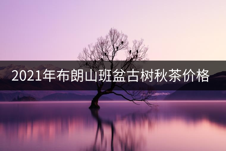 2021年布朗山班盆古樹秋茶價(jià)格？