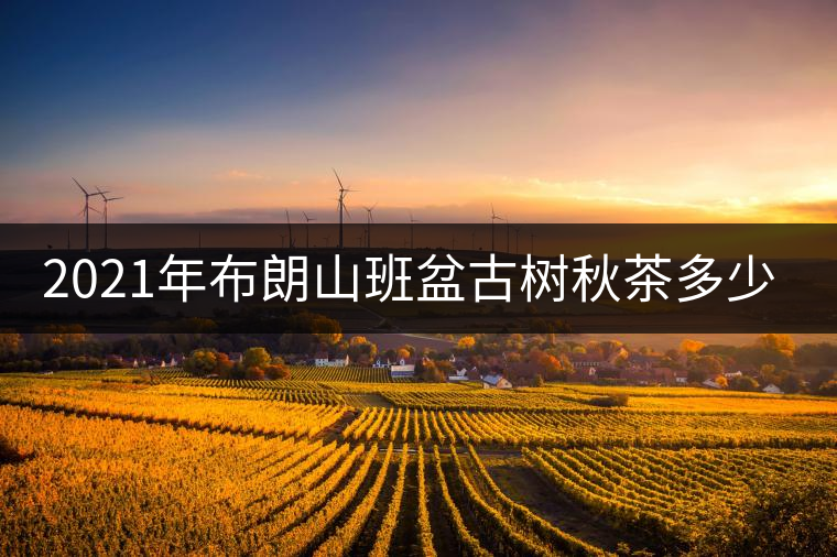 2021年布朗山班盆古樹(shù)秋茶多少錢(qián)一公斤？