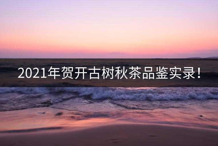 2021年賀開古樹秋茶品鑒實(shí)錄！
