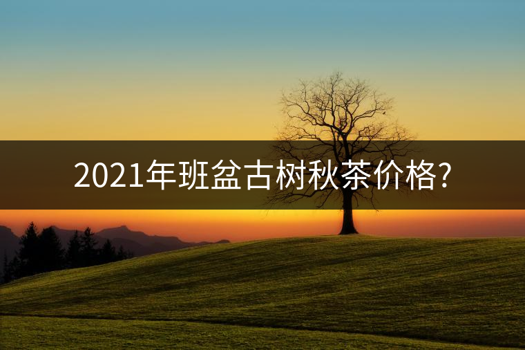 2021年班盆古樹秋茶價格?