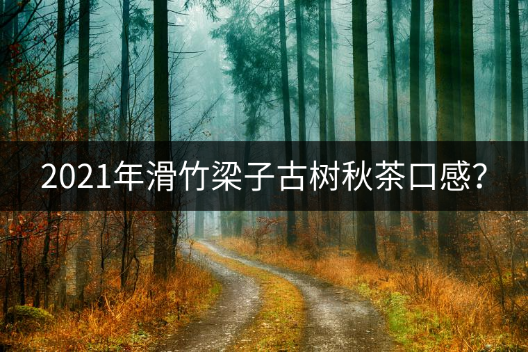 2021年滑竹梁子古樹秋茶口感？