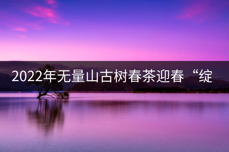 2022年無(wú)量山古樹春茶迎春“綻放”！