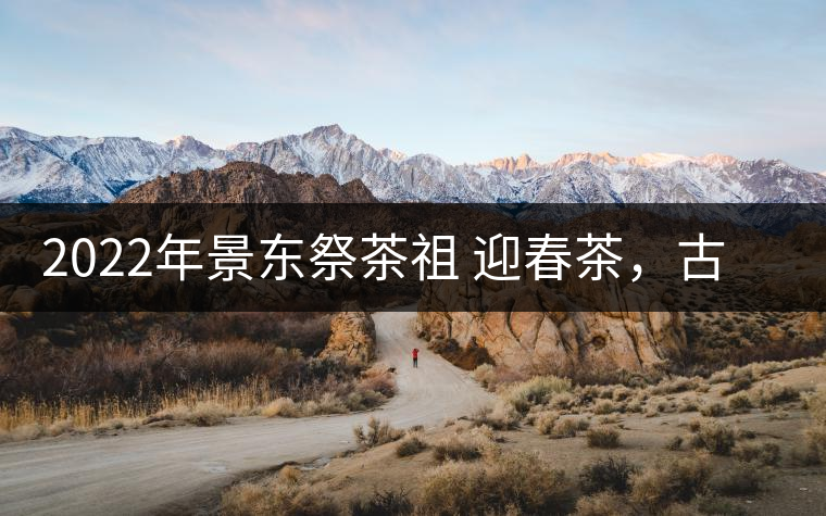 2022年景東祭茶祖 迎春茶，古樹春茶多少錢一公斤？