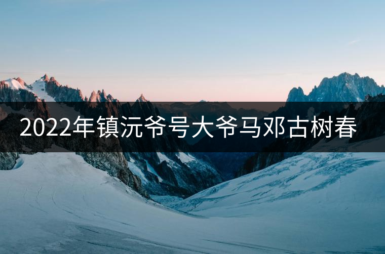 2022年鎮(zhèn)沅爺號大爺馬鄧古樹春茶特點？