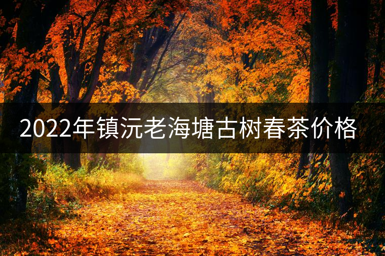 2022年鎮(zhèn)沅老海塘古樹春茶價格？