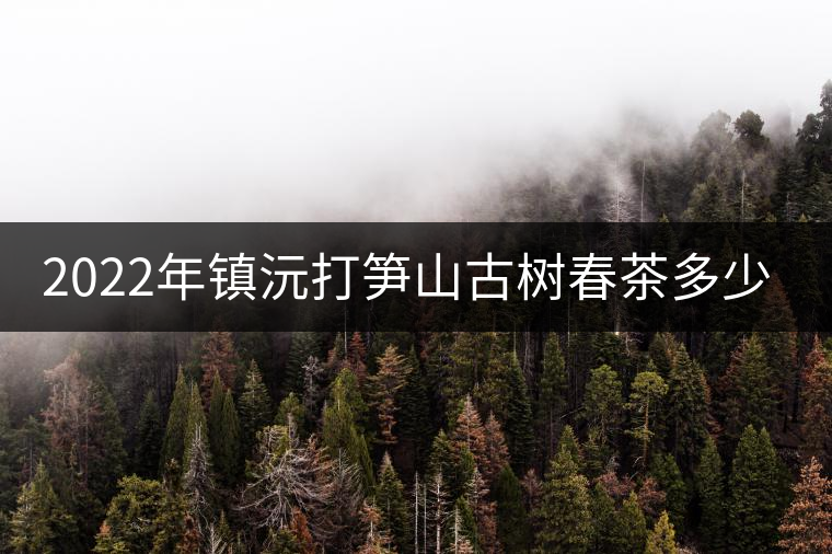 2022年鎮(zhèn)沅打筍山古樹春茶多少錢一公斤？