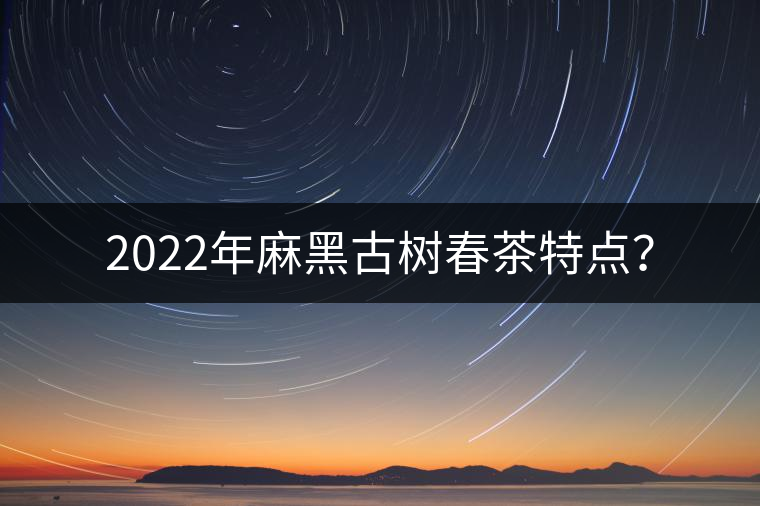 2022年麻黑古樹春茶特點(diǎn)？