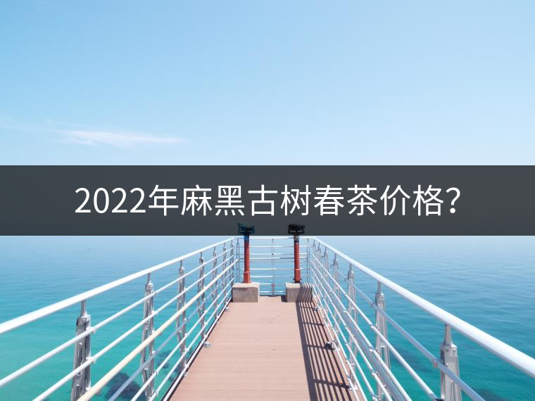 2022年麻黑古樹春茶價(jià)格？