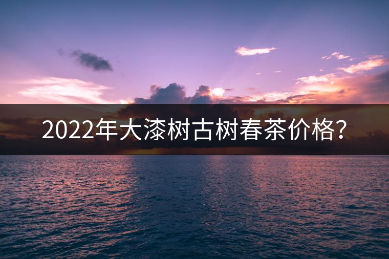 2022年大漆樹(shù)古樹(shù)春茶價(jià)格？