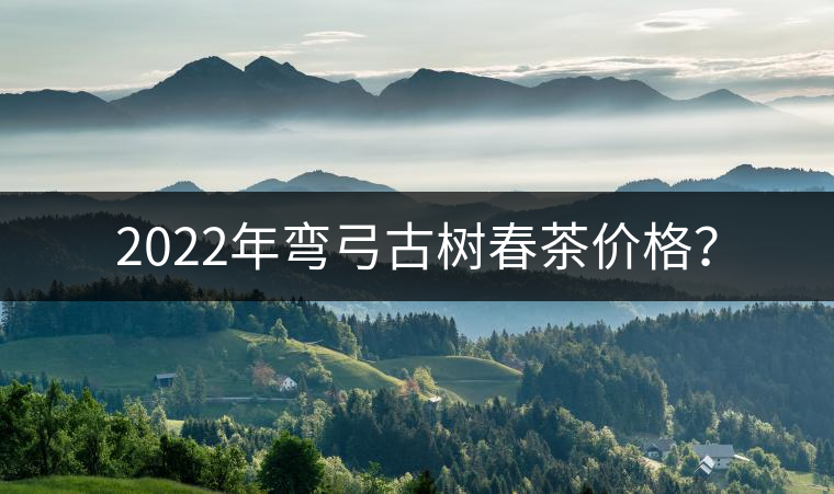 2022年彎弓古樹春茶價格？