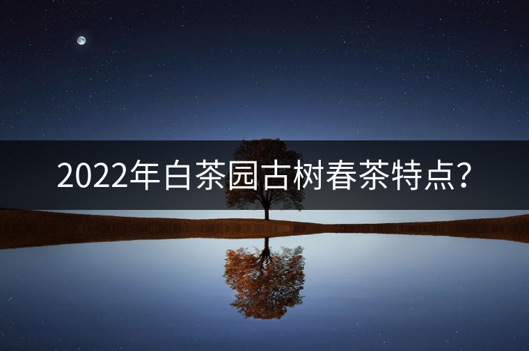 2022年白茶園古樹春茶特點(diǎn)？