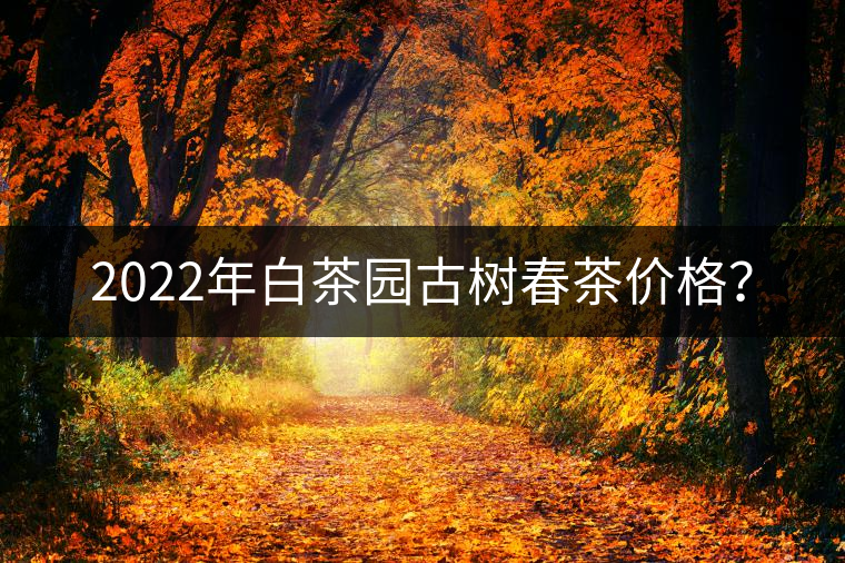 2022年白茶園古樹春茶價(jià)格？