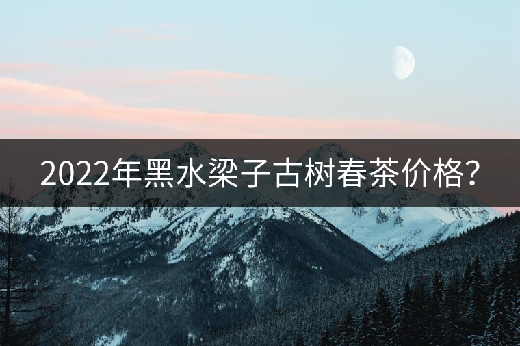 2022年黑水梁子古樹春茶價格? 2022年黑水梁子古樹春茶價格?