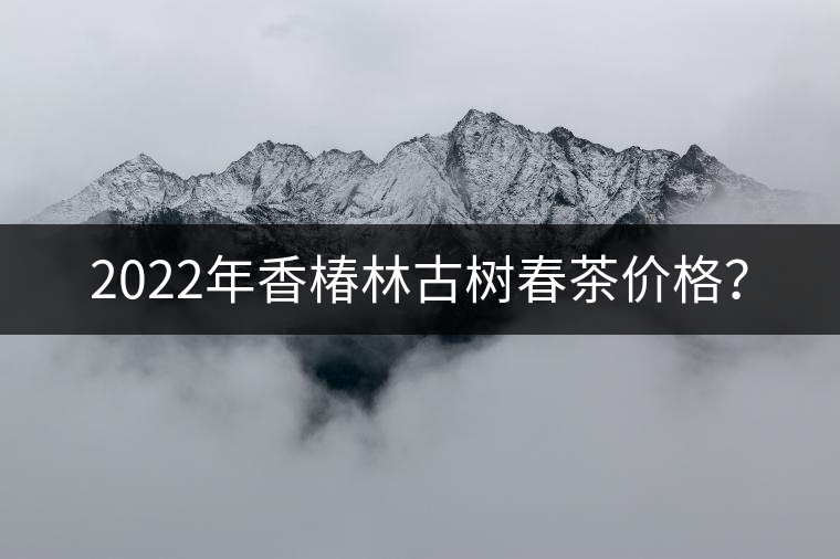 2022年香椿林古樹(shù)春茶價(jià)格？