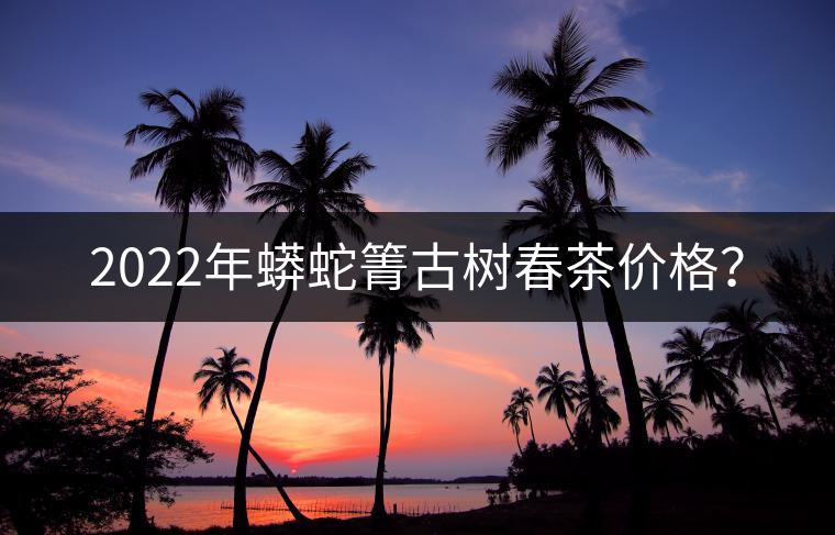 2022年蟒蛇箐古樹春茶價格？