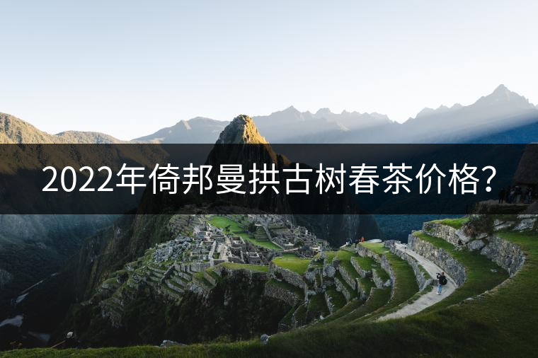 2022年倚邦曼拱古樹春茶價(jià)格？