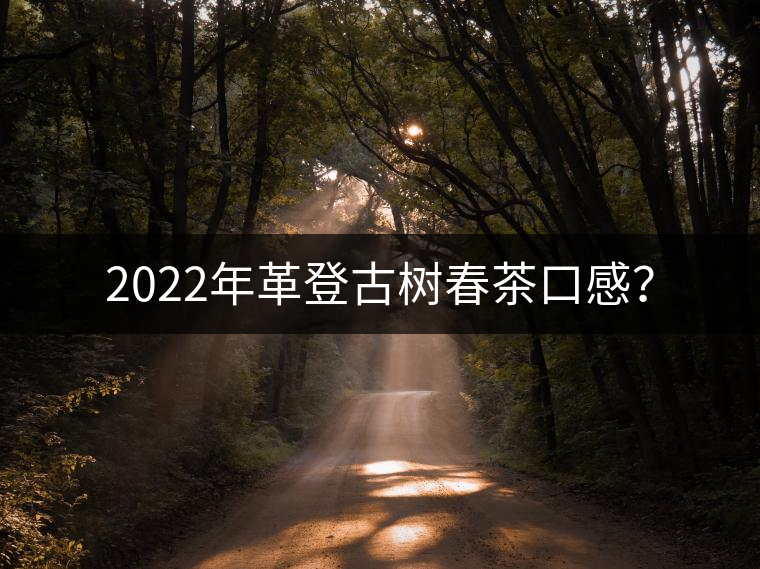 2022年革登古樹春茶口感？