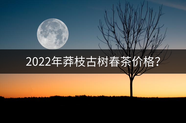 2022年莽枝古樹春茶價格？