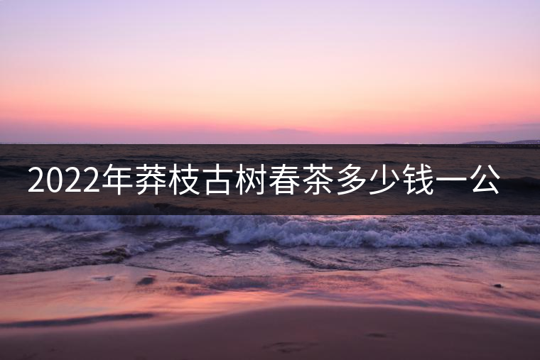 2022年莽枝古樹春茶多少錢一公斤？