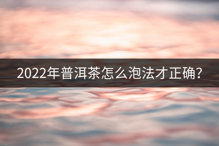 2022年普洱茶怎么泡法才正確？