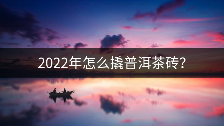 2022年怎么撬普洱茶磚？