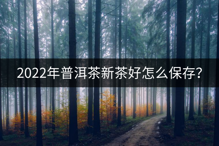 2022年普洱茶新茶好怎么保存？