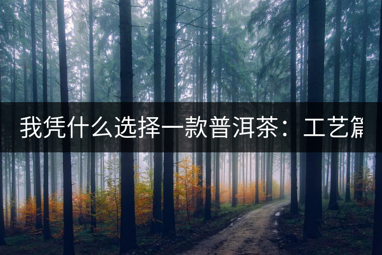 我憑什么選擇一款普洱茶：工藝篇？