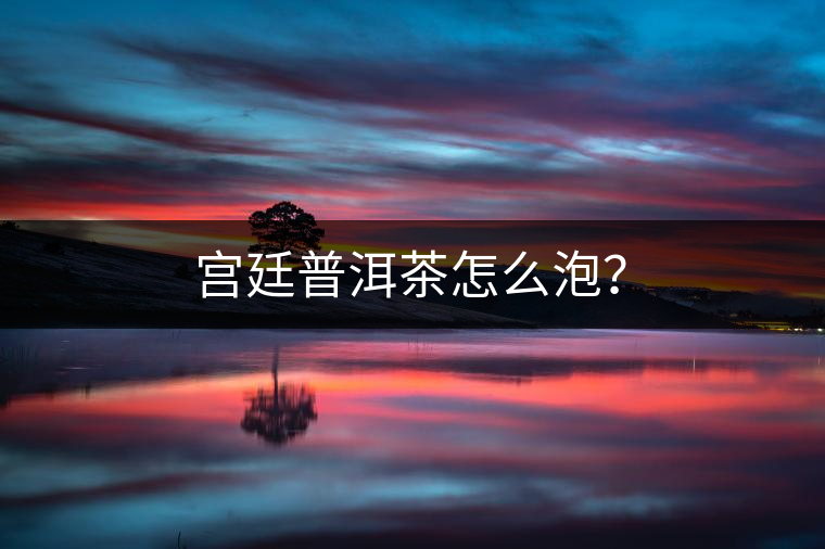 宮廷普洱茶怎么泡？