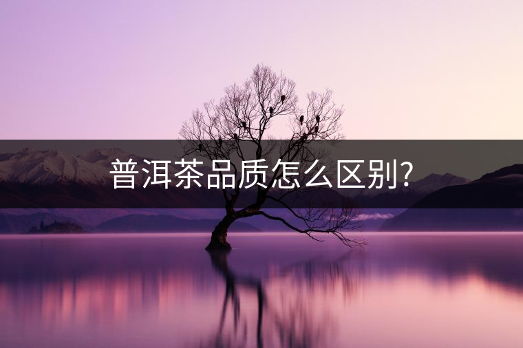 普洱茶品質(zhì)怎么區(qū)別? 普洱茶品質(zhì)怎么區(qū)別?