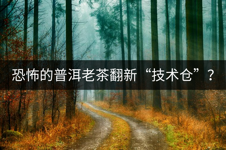 恐怖的普洱老茶翻新“技術(shù)倉”？