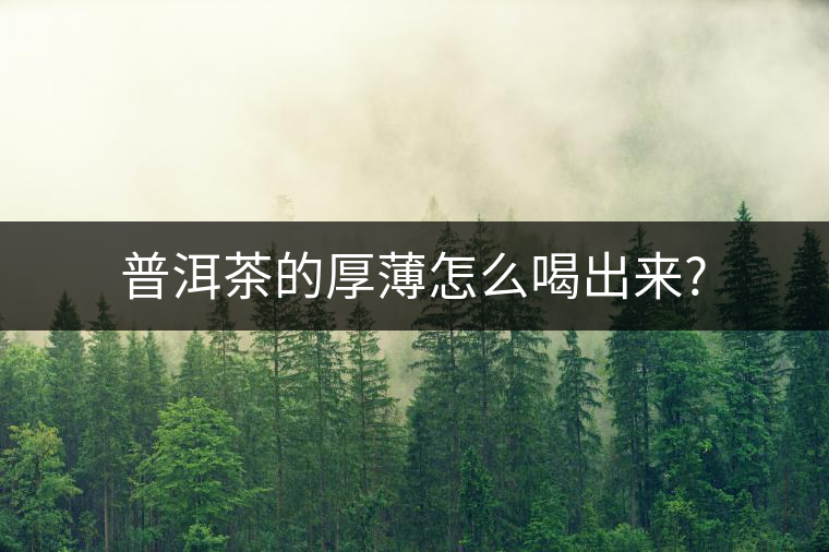 普洱茶的厚薄怎么喝出來(lái)?