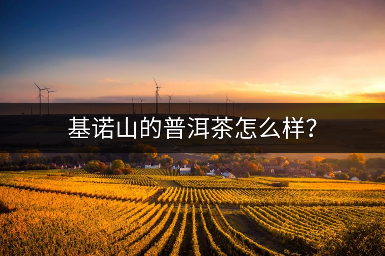 基諾山的普洱茶怎么樣？