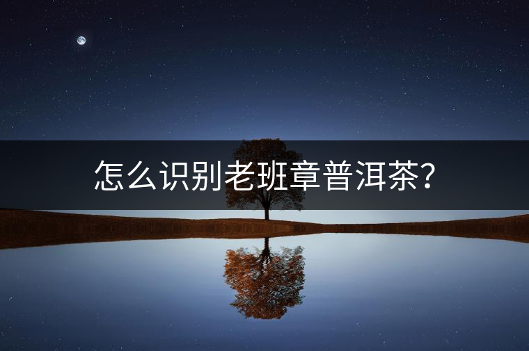 怎么識別老班章普洱茶？