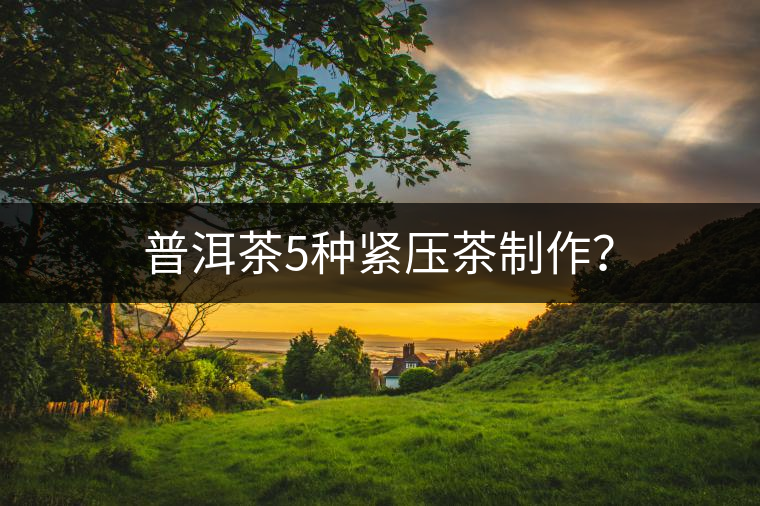 普洱茶5種緊壓茶制作？