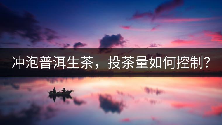 沖泡普洱生茶，投茶量如何控制？