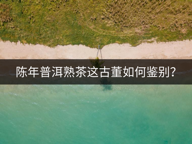 陳年普洱熟茶這古董如何鑒別？