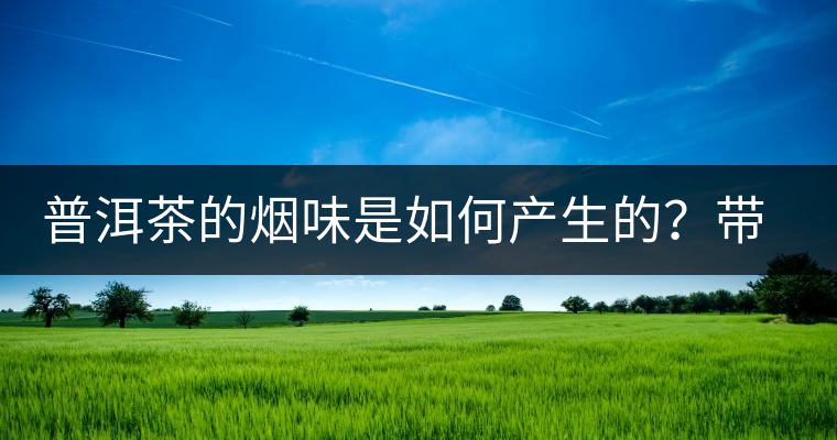 普洱茶的煙味是如何產(chǎn)生的？帶煙味的普洱茶是好還是壞？
