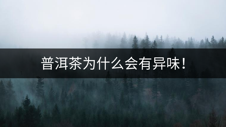 普洱茶為什么會(huì)有異味！