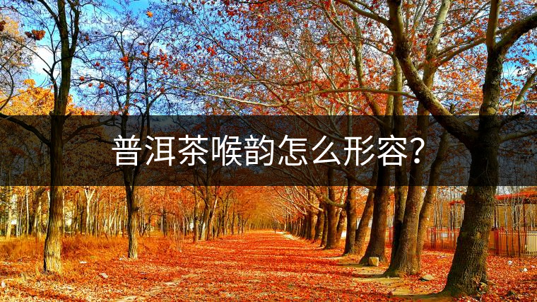 普洱茶喉韻怎么形容？