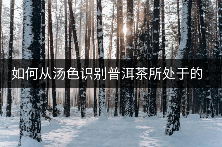 如何從湯色識(shí)別普洱茶所處于的轉(zhuǎn)化期？