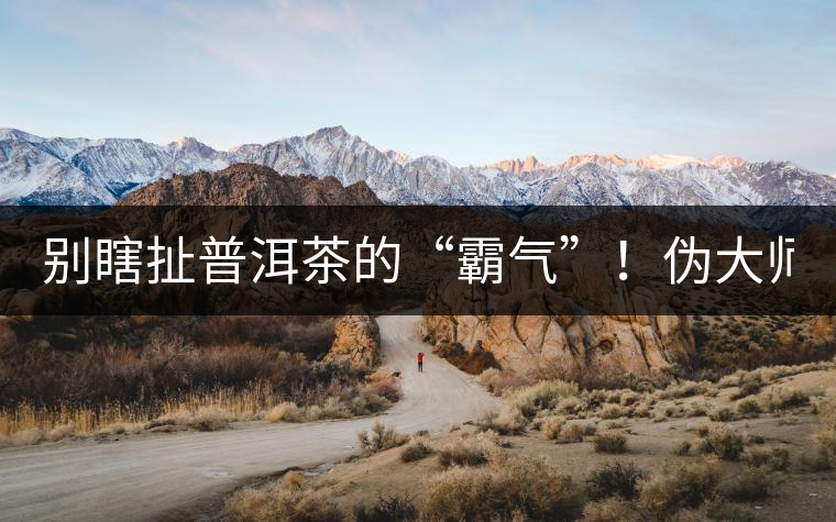 別瞎扯普洱茶的“霸氣”！偽大師！