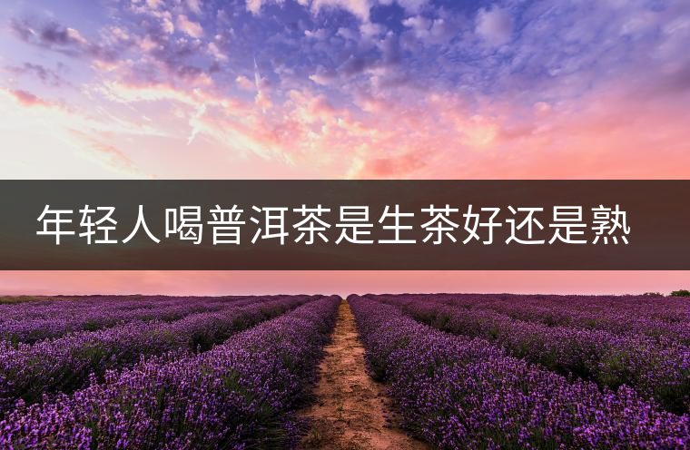 年輕人喝普洱茶是生茶好還是熟茶好？該怎么選擇？