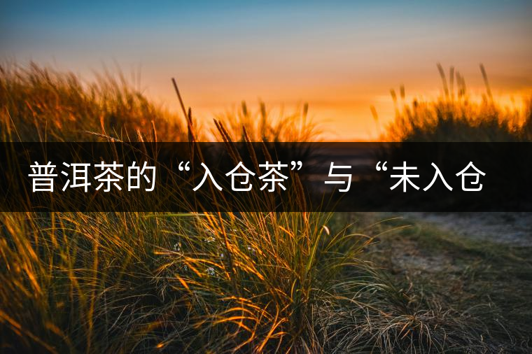 普洱茶的“入倉茶”與“未入倉茶”如何區(qū)分，你造嗎？