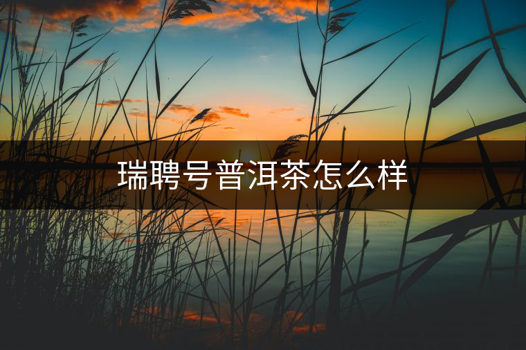 瑞聘號普洱茶怎么樣