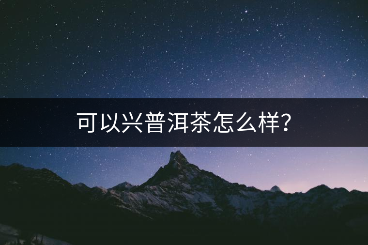 可以興普洱茶怎么樣？