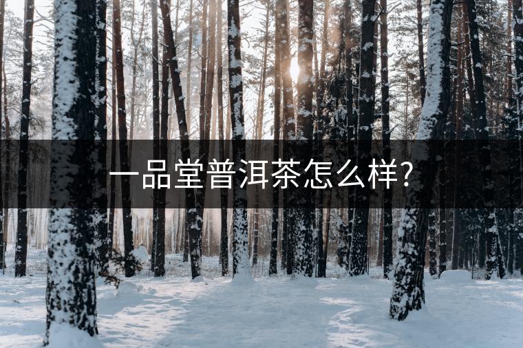 一品堂普洱茶怎么樣? 一品堂普洱茶怎么樣?
